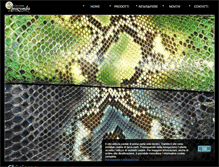 Tablet Screenshot of anaconda.it